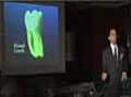lecture given on endodontic or root canal treatment failures and retreatment apicos apico apical surgery apicoectomy dr nima dayani dds ms 